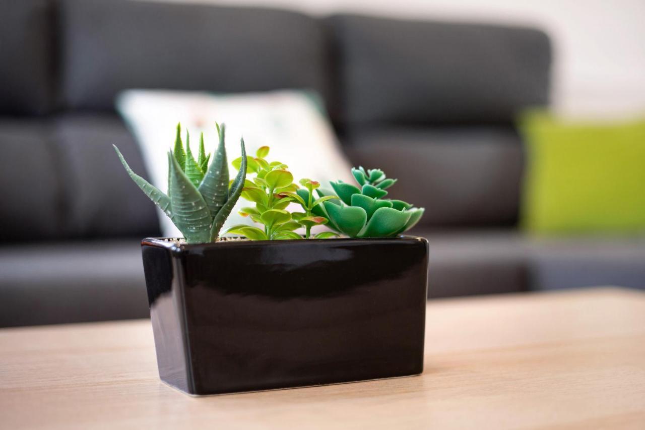 Vila Casa Cactus Antigua  Exteriér fotografie